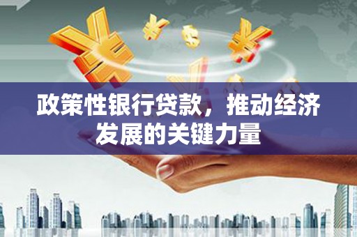 当涂政策性银行贷款，推动经济发展的关键力量