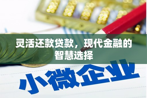 六甲灵活还款贷款，现代金融的智慧选择