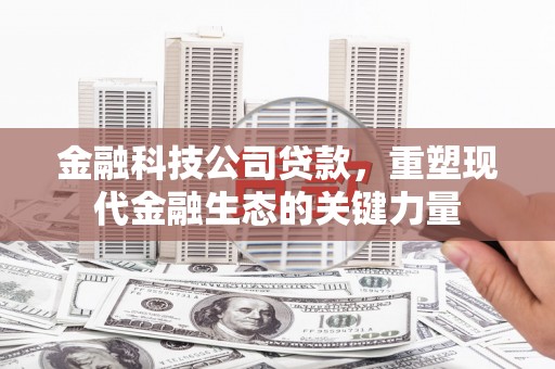 桐乡金融科技公司贷款，重塑现代金融生态的关键力量