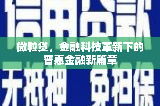 修水微粒贷，金融科技革新下的普惠金融新篇章