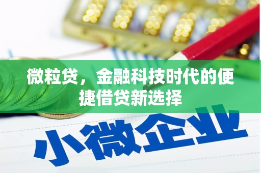 新埔微粒贷，金融科技时代的便捷借贷新选择