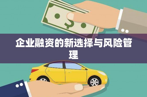 海州企业融资的新选择与风险管理