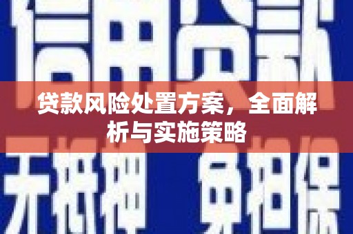 新源贷款风险处置方案，全面解析与实施策略
