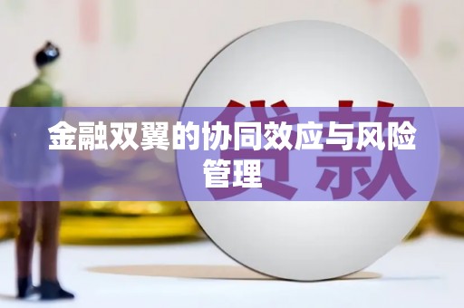 惠东金融双翼的协同效应与风险管理
