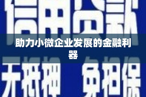 芙蓉助力小微企业发展的金融利器